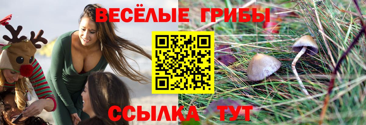 Псилоцибиновые грибы GOLDEN TEACHER  Вход с VPN  Карпинск  Галлюциногенные грибы мухоморы 